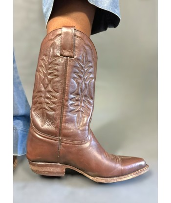 Bottes Santiag marron Amélioration de cerveau avec