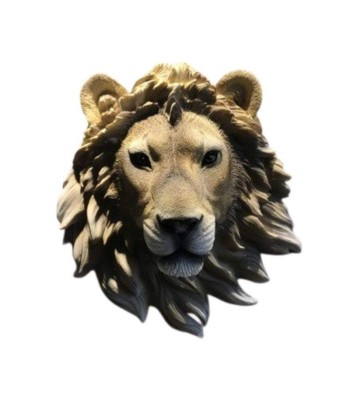 Masque Africain Lion Paris Déstockage Promo