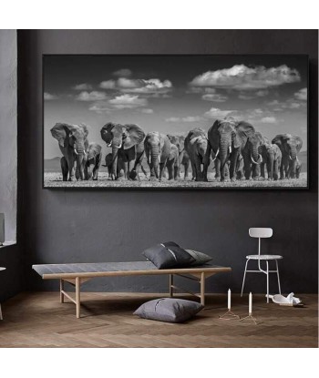 Tableau Éléphant Noir et Blanc Vous souhaitez 