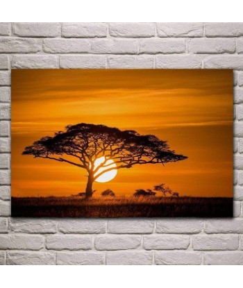 Tableau Savane Africaine Venez acheter