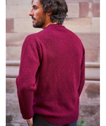 Pull Allan en laine bordeaux Découvrez la collection